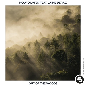 Обложка для Now O Later feat. Jaime Deraz - Out of the Woods