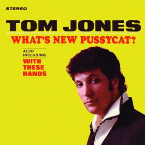 Обложка для Tom Jones - Untrue