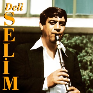 Обложка для Deli Selim - Tokmakla