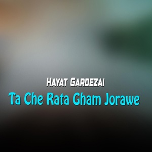 Обложка для Hayat Gardezai - Sta Che Pa Zra Kam Arman wo