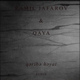 Обложка для Ramil Jafarov, Qaya - Qəribə Həyat