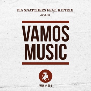 Обложка для Pig Snatchers feat. Kittrix - Acid 88