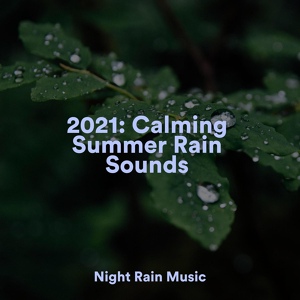 Обложка для Especialistas de Musica para Dormir, Sample Rain Library, Tranquility Spa Universe - Rain Dripping from the Roof