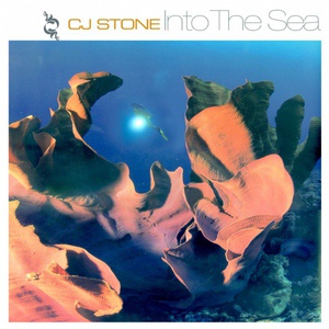 Обложка для CJ Stone - Into The Sea