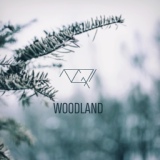 Обложка для 10GRI - Woodland
