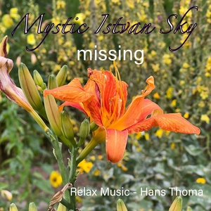 Обложка для Relax Music - Hans Thoma, Roland Müller, Johann von Gott Thoma - Mystic Istvan Sky Missing