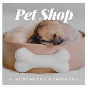 Обложка для Pet Therapy - Adopt a Pet