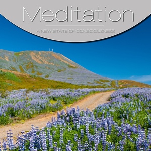Обложка для Yoga Music Vol.1 - Music for Spiritual Exercise Qigong Meditation and Wellness (2012) - Life