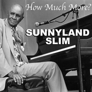 Обложка для Sunnyland Slim - How Much More