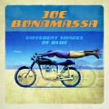 Обложка для Joe Bonamassa - Different Shades of Blue