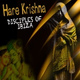 Обложка для Disciples Of Ibiza - Hare Krishna