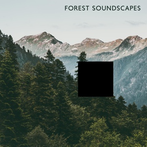 Обложка для Nature Sounds Paradise - Forest Soundscapes