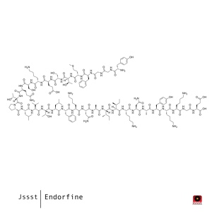 Обложка для Jssst - Fundament