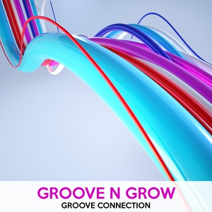 Обложка для Groove N Grow - Ilegal