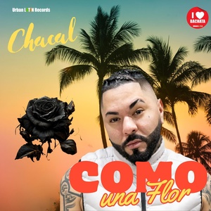 Обложка для Chacal, Urban Latin DJ's - Como una Flor