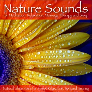 Обложка для Natural White Noise for Sleep, Relaxation, Spa and Healing - Meditation