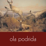 Обложка для Ola Podrida - A Clouded View