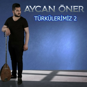 Обложка для Aycan Öner - İnsan Gelmez Mi