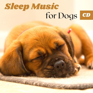 Обложка для Music for Dogs Collective - Sleep Music for Dogs