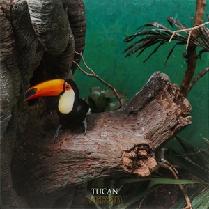 Обложка для NEKOB - Tucan