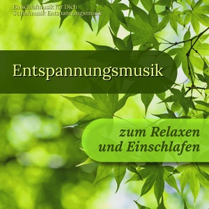 Обложка для Einschlafmusik für Dich, Schlafmusik, Entspannungsmusik - Klangvolle Musik zum Lernen