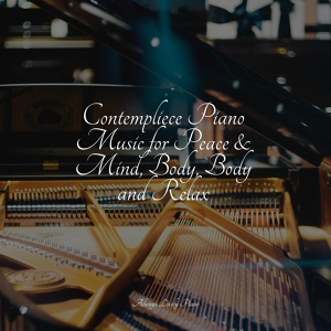 Обложка для Exam Study Classical Music, Brain Study Music Guys, Calming Piano - Heavenly Harbingers