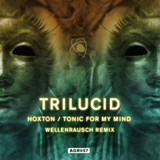 Обложка для Trilucid - Hoxton