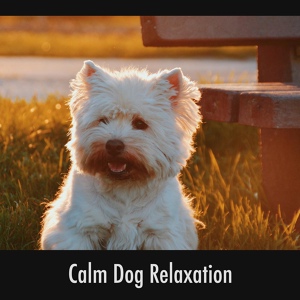 Обложка для Dog Chill Out Music - Snug Dog Hugs