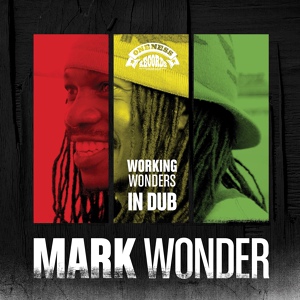 Обложка для Mark Wonder, Umberto Echo feat. Sizzla - Guiding Light Dub