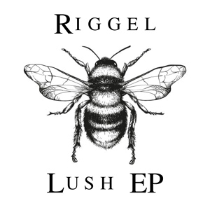 Обложка для Riggel - Our Sky