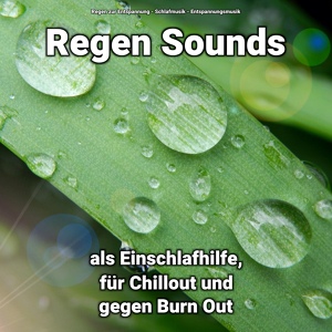 Обложка для Regen zur Entspannung, Schlafmusik, Entspannungsmusik - Liebenswerte Regen Sounds