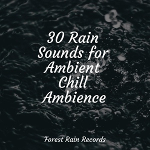 Обложка для Pro Sounds of Nature, Baby Lullabies Music, Rain Sounds XLE Library - Gentle Rain