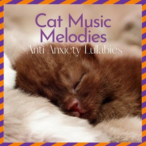 Обложка для Relax My Cat, Cat Music Zone - Cozy Nights and Cat Cuddles