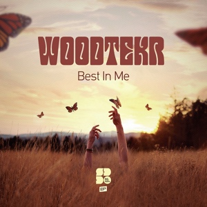 Обложка для Woodtekr - Going The Distance