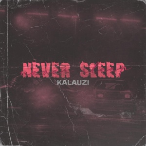 Обложка для Kalauzi - Never sleep