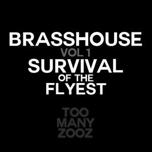 Обложка для Too Many Zooz - Survival of the Flyest