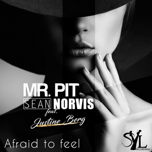 Обложка для Mr. Pit, Sean Norvis feat. Justine Berg - Afraid To Feel