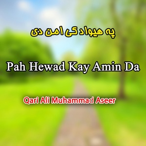 Обложка для qari ali muhammad aseer - Zarge Yaea