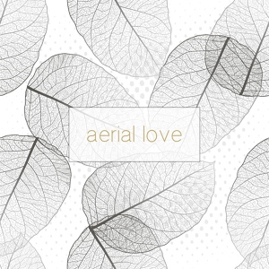 Обложка для Aerial Love - Breeze