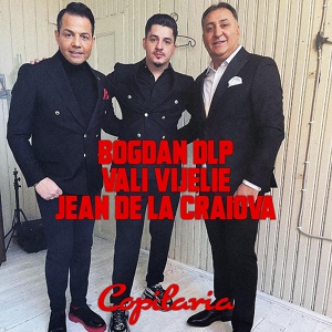 Обложка для Bogdan DLP, Vali Vijelie, Jean de la Craiova - Copilaria