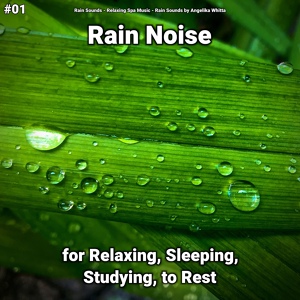 Обложка для Rain Sounds, Relaxing Spa Music, Rain Sounds by Angelika Whitta - Rain