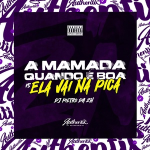 Обложка для DJ PIETRO DA ZN - A Mamada Quando É Boa Vs Ela Vai na Pica