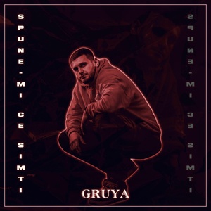 Обложка для GRUYA feat. Sandra - Spune-mi Ce Simti