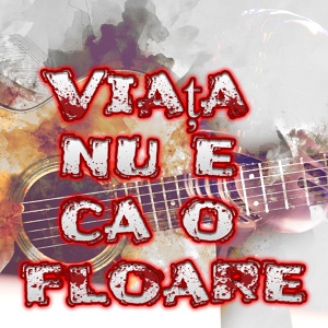 Обложка для Petrecere la Romani - Muzica de petrecere