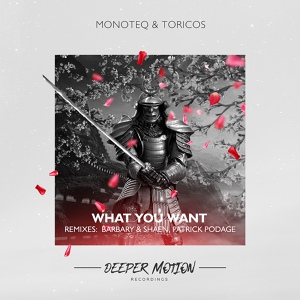 Обложка для Monoteq, Toricos - What You Want
