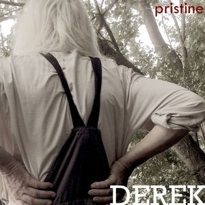 Обложка для Pristine - Derek