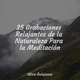 Обложка для Master Meditação, Musica Relajante & Yoga, Música de la Naturaleza - Fondo Para La Belleza