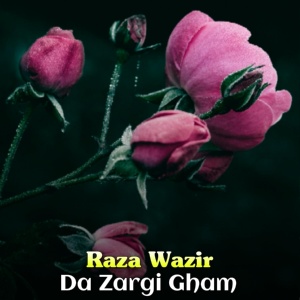 Обложка для Raza Wazir - Qurban De La De Kharh Mazar Sham Yara