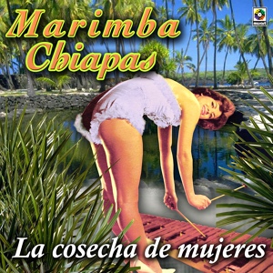 Обложка для Marimba Chiapas - Luna De Xelajú