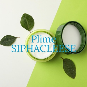 Обложка для Siphacleese - Plime